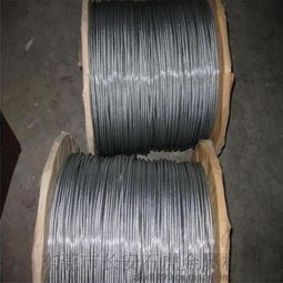 高品質不銹鋼鋼絲繩 304/316L材質與多樣化選擇，盡在東莞石虎金屬
